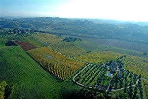 Farm house holiday rental in Tuscany over the Chianti hills sourrounded by vineyards