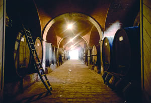 Old wine cellar in Chianti open for wine testing