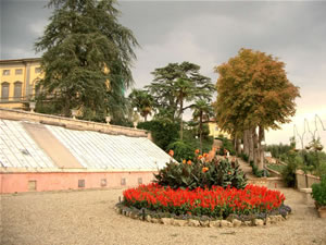 La serra in muratura con villa, aiuola e cedro del libano secolare nel parco di Monaciano in Toscana