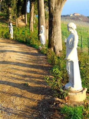 Statue in un viale nel Parco di Monaciano di fronte al Pozzo